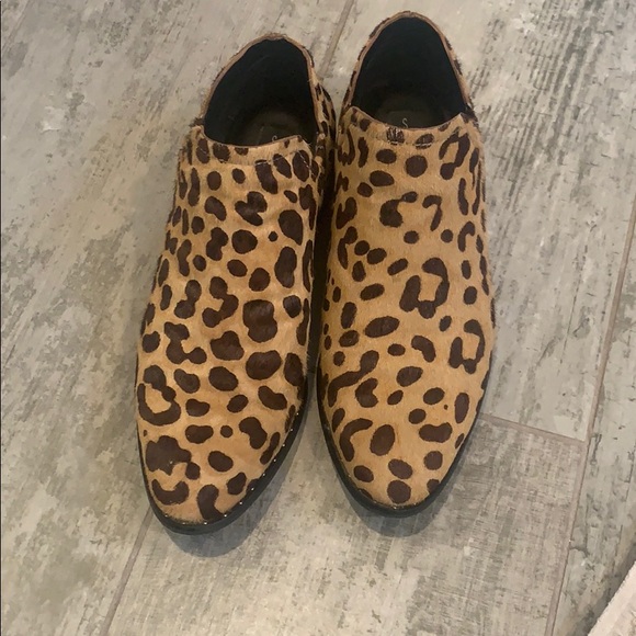 Leopard print ankle booties Steven Madden size 7 - Picture 1 of 4
